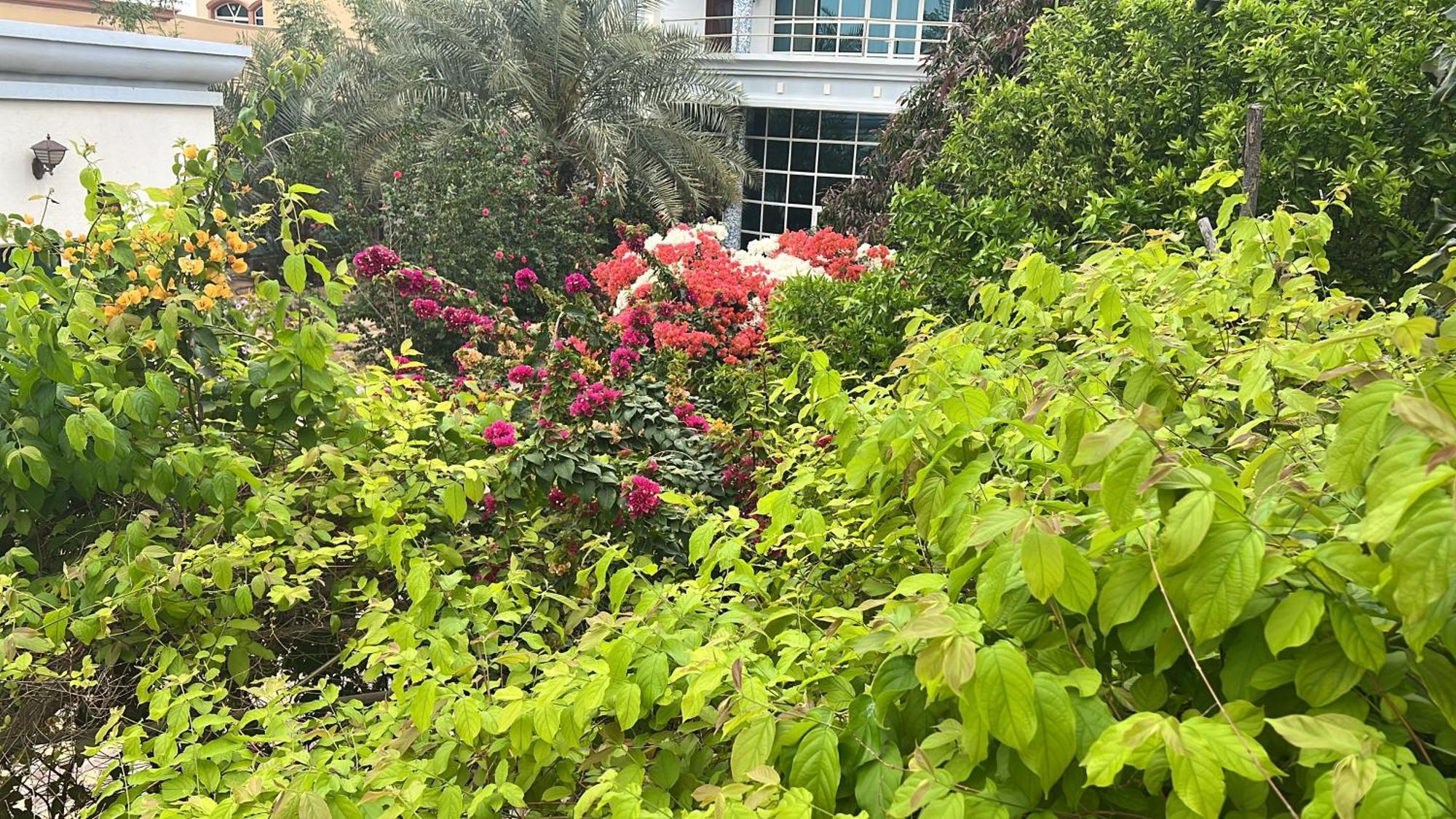 Alhosani Property Abu Dabi Dış mekan fotoğraf