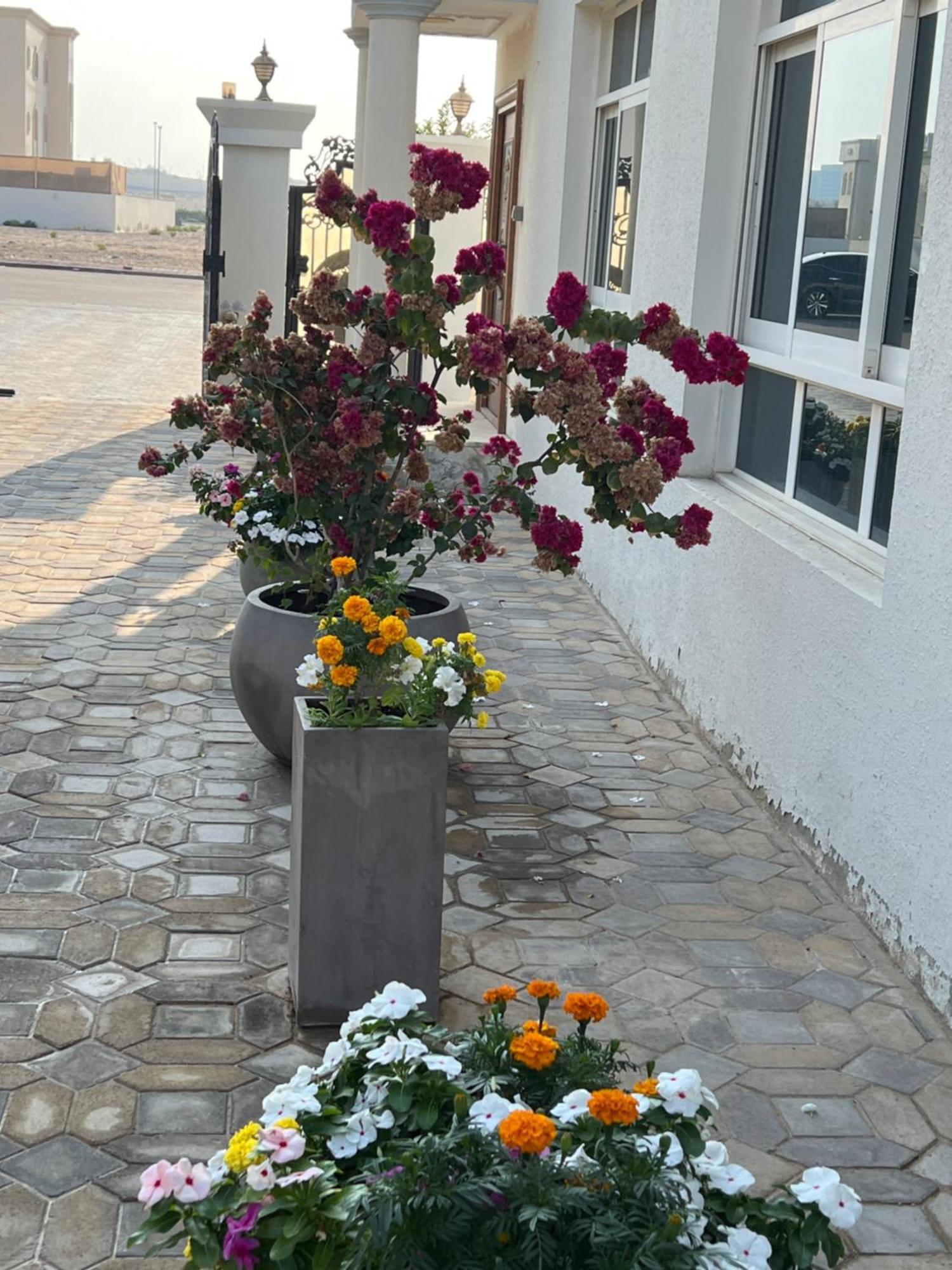 Alhosani Property Abu Dabi Dış mekan fotoğraf