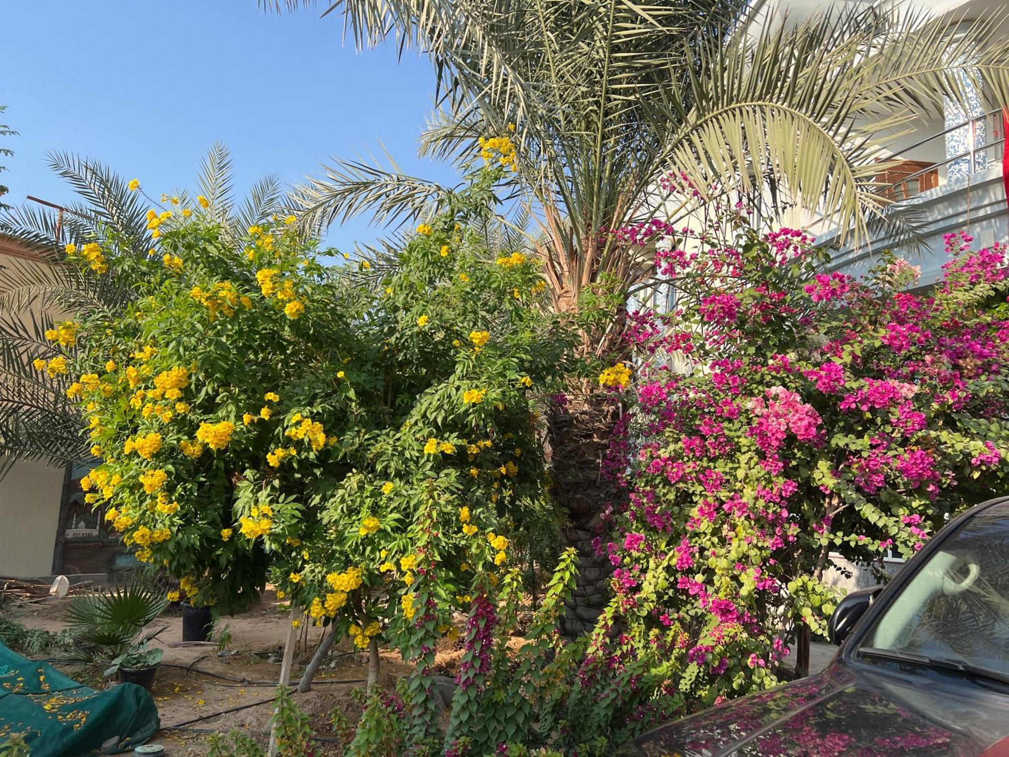 Alhosani Property Abu Dabi Dış mekan fotoğraf